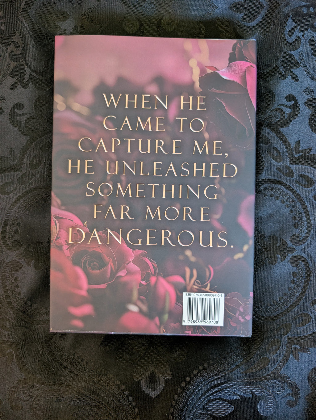 Demonic Prince Bundle | Discreet Hardback