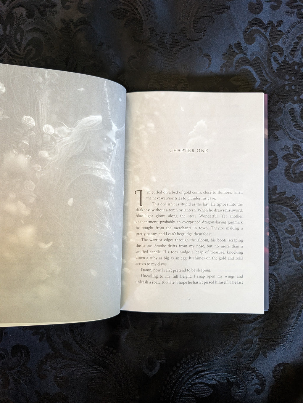 Demonic Prince Bundle | Discreet Hardback