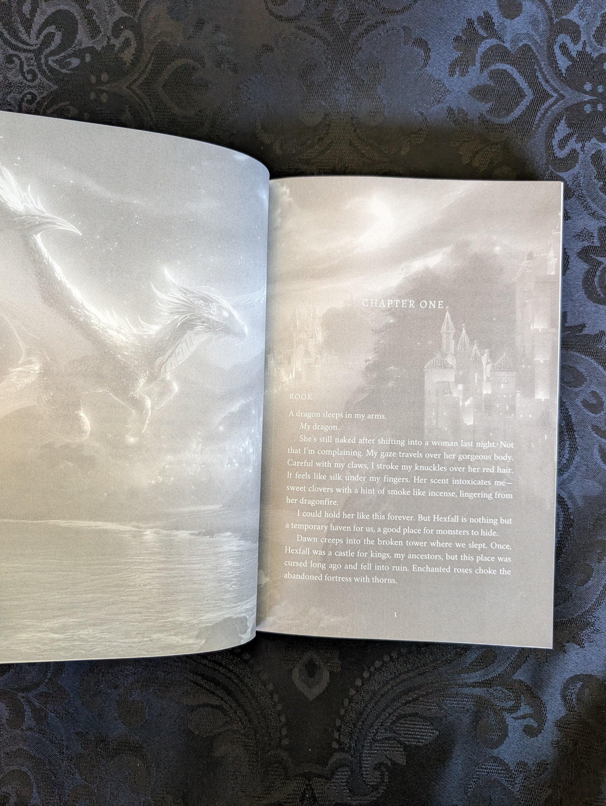 Demonic Prince Bundle | Discreet Hardback