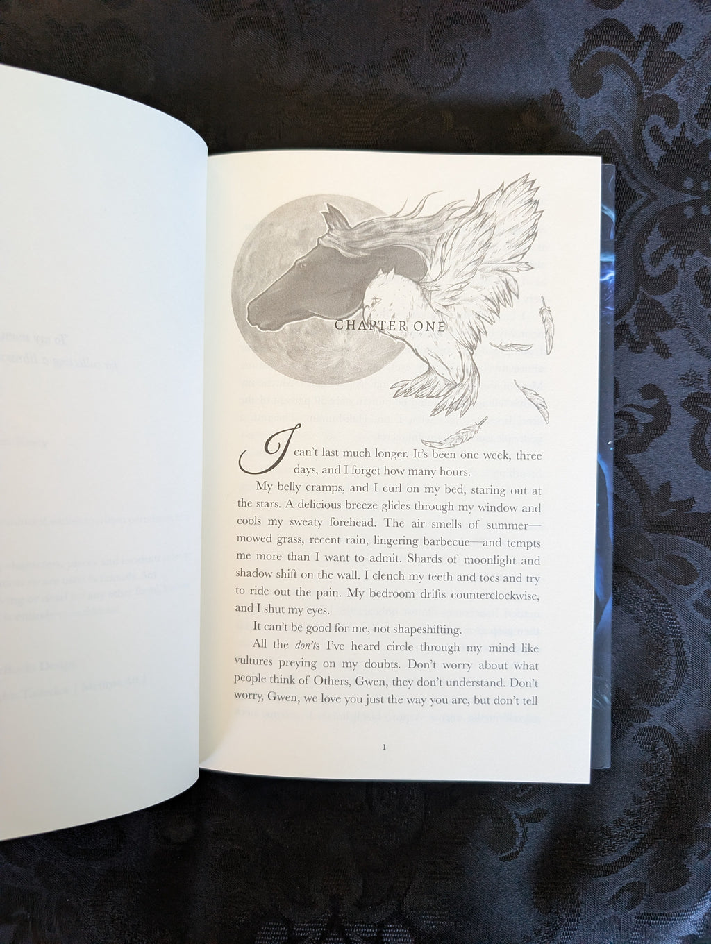 Other: A Secret Shifter Story | Hardback