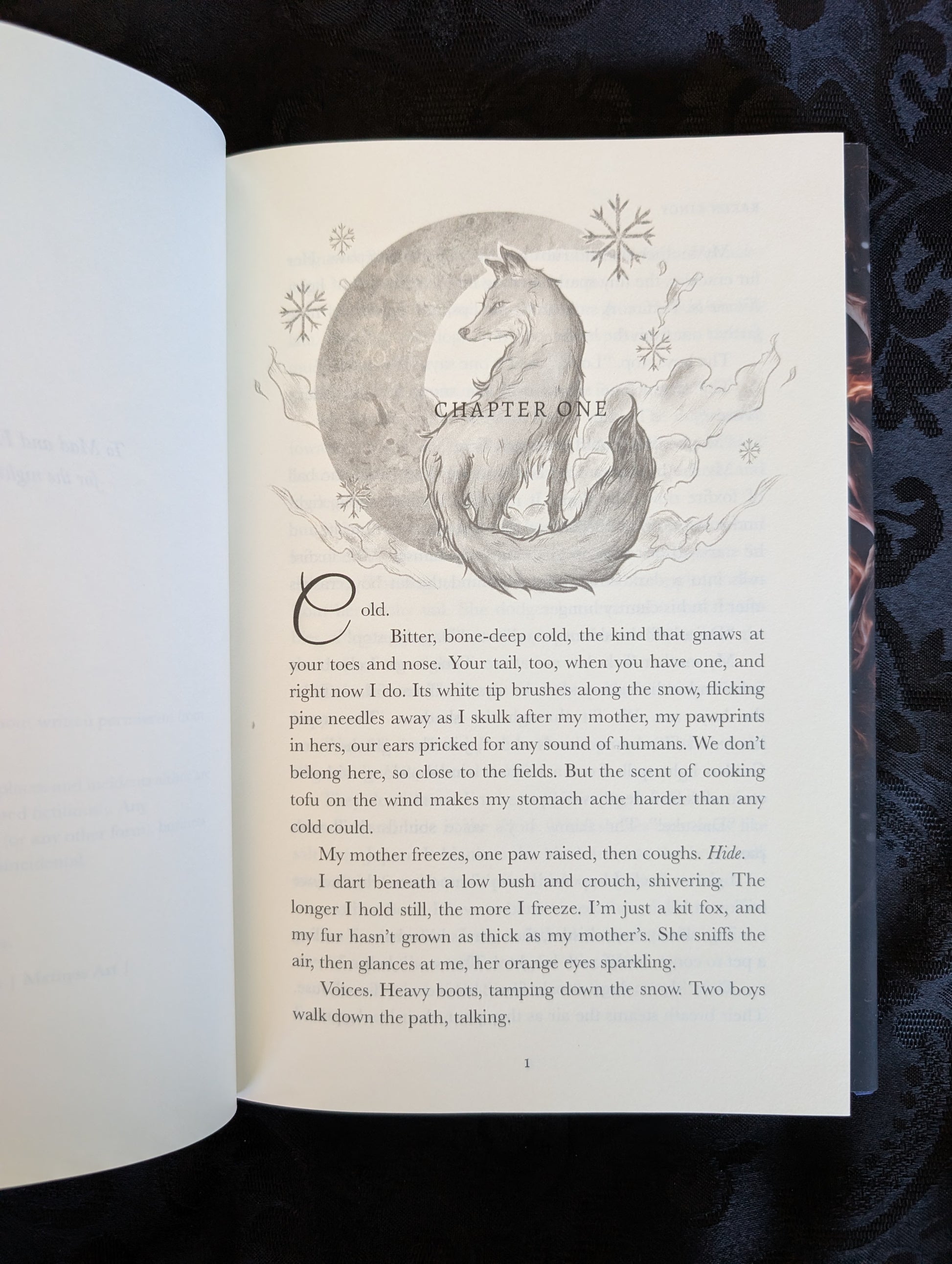 Foxfire: A Haunted Shifter Story | Hardback