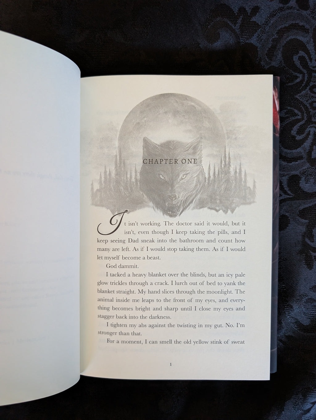 Bloodborn: A Bitten Shifter Story | Hardback | Scratch & Dent