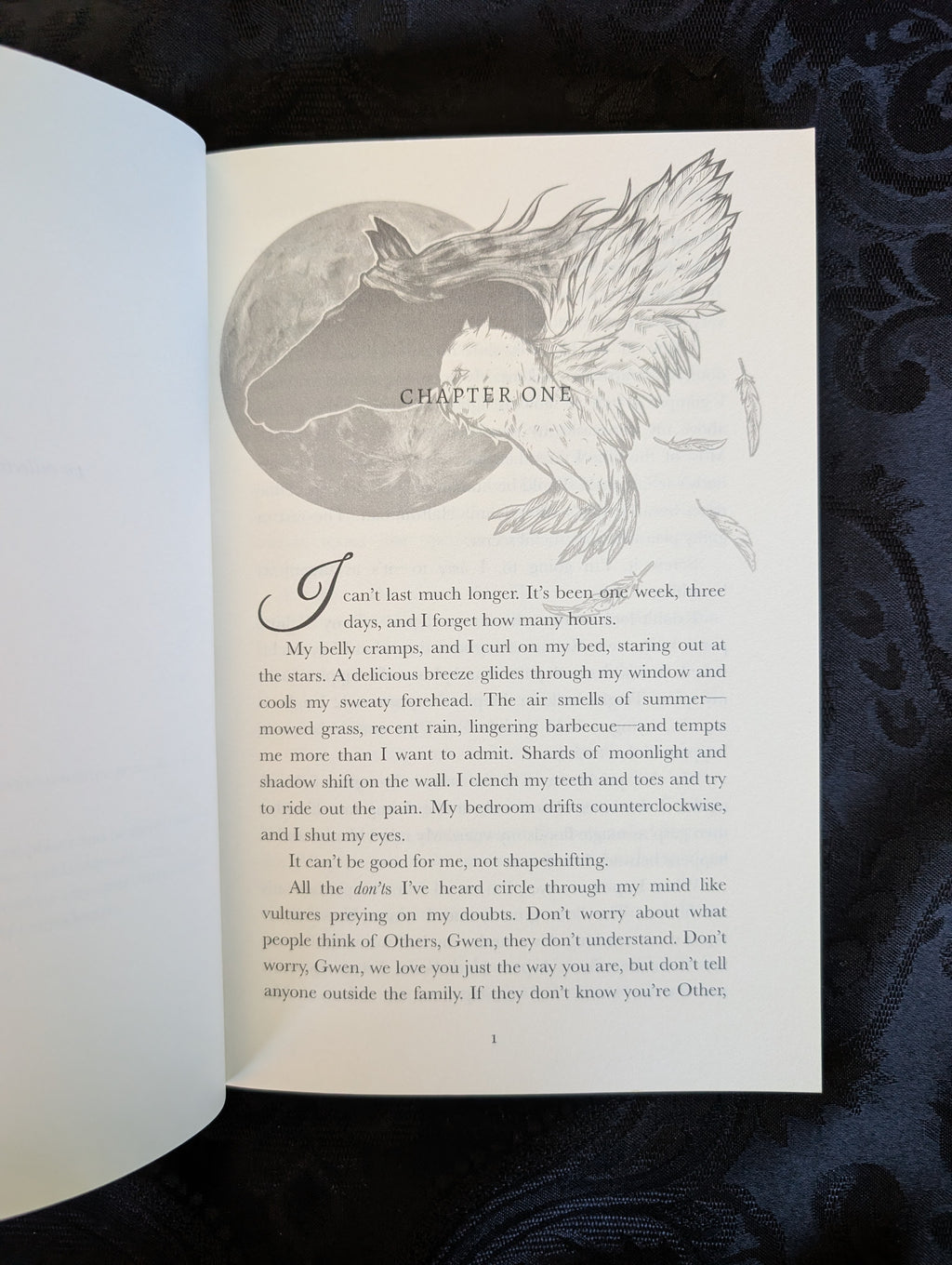 Other: A Secret Shifter Story | Paperback | Scratch & Dent