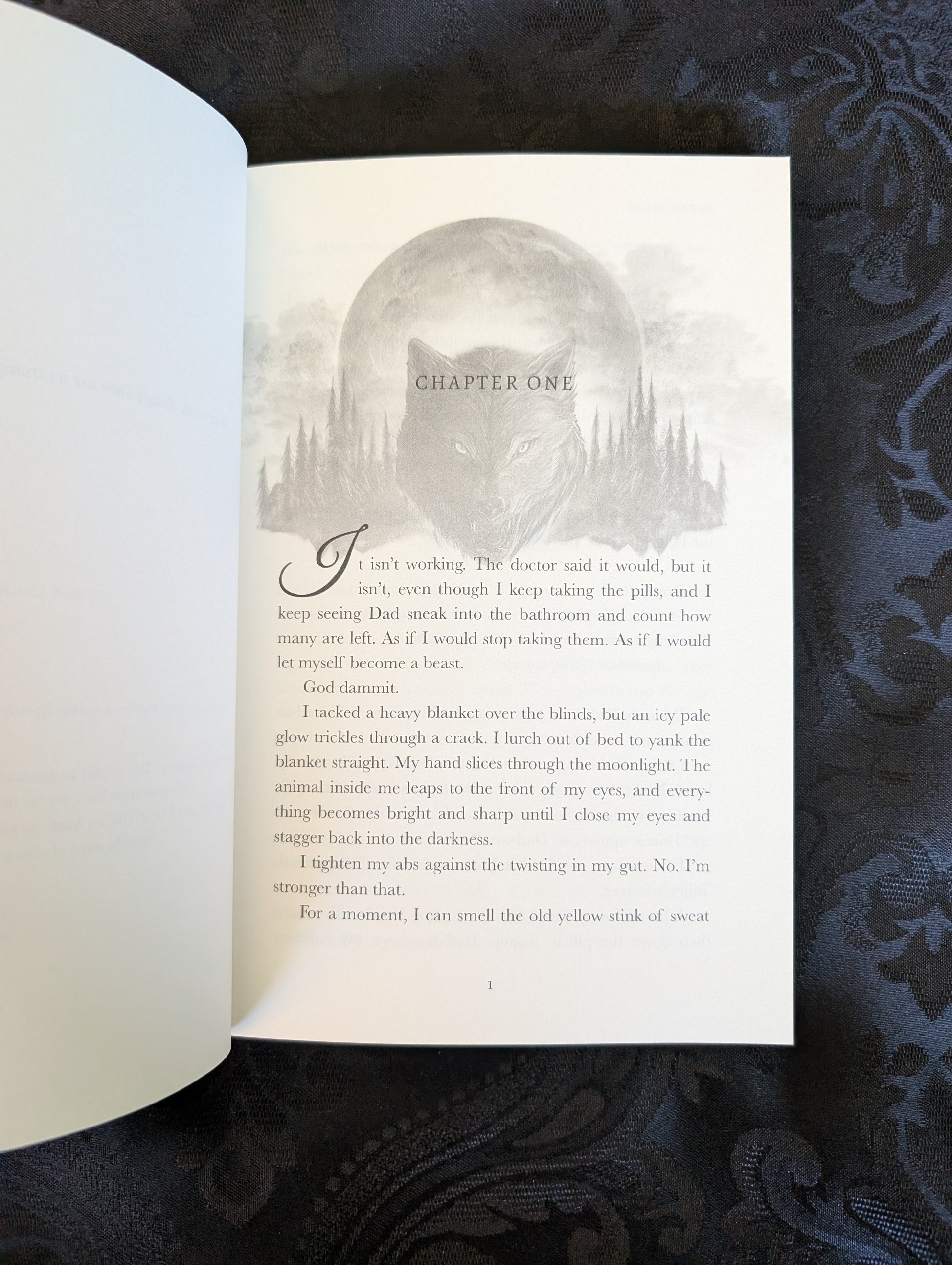 Bloodborn: A Bitten Shifter Story | Paperback | Scratch & Dent
