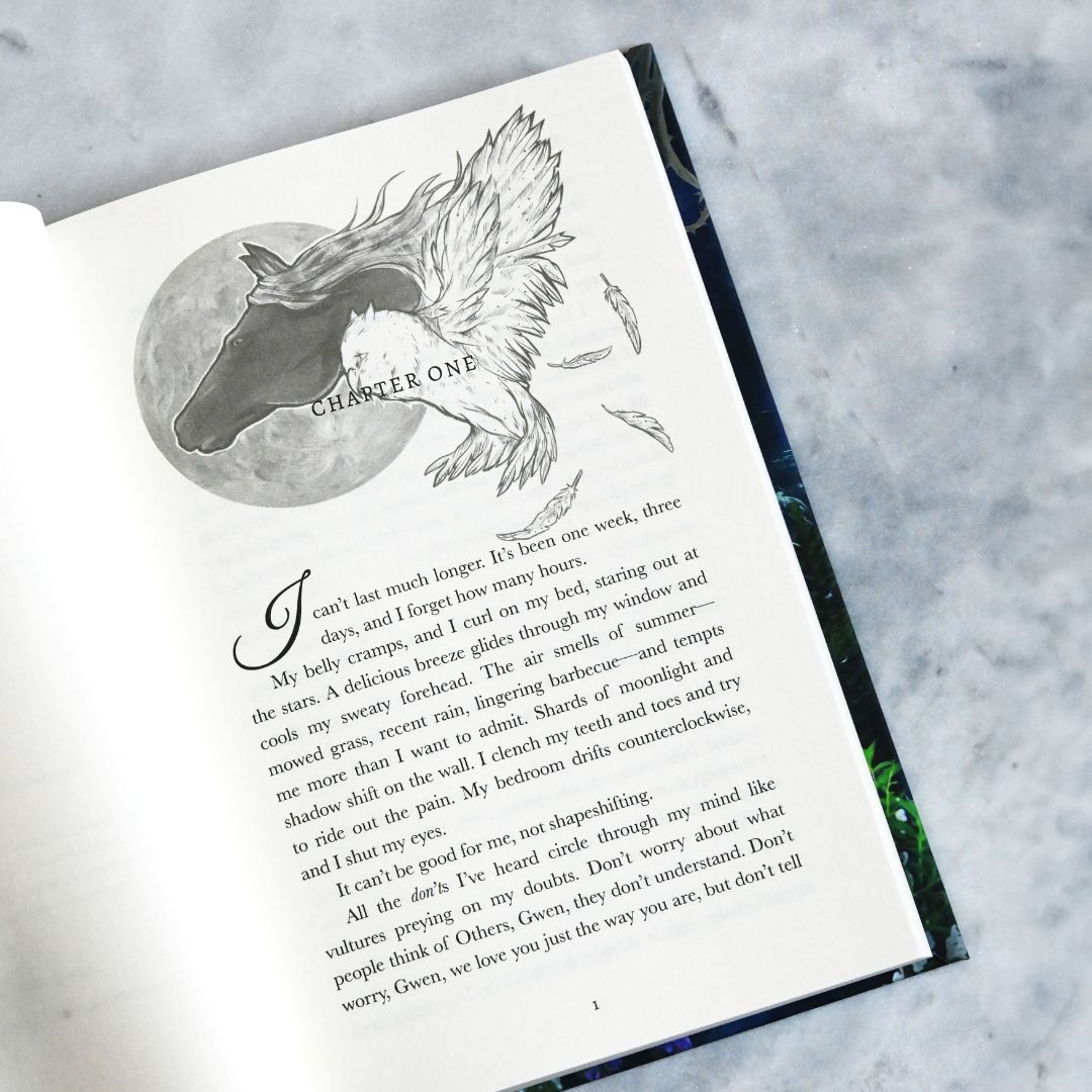 Book open to a page with a winged horse illustration and text on a textured surface