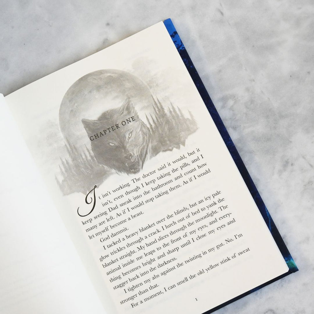 Open book with a cat illustration and 'Chapter One' text on a textured surface